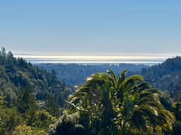 Private 3BR Estate Wing | Ocean Views & 90 Acres - Image 5