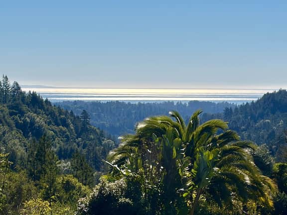 Private 3BR Estate Wing | Ocean Views & 90 Acres - Image 5
